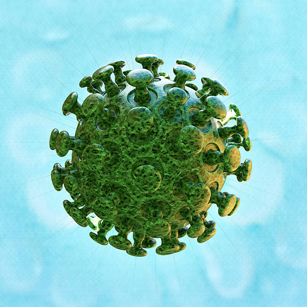 coronavirus june 2023 - cdc hepatitis b not immune after vaccination